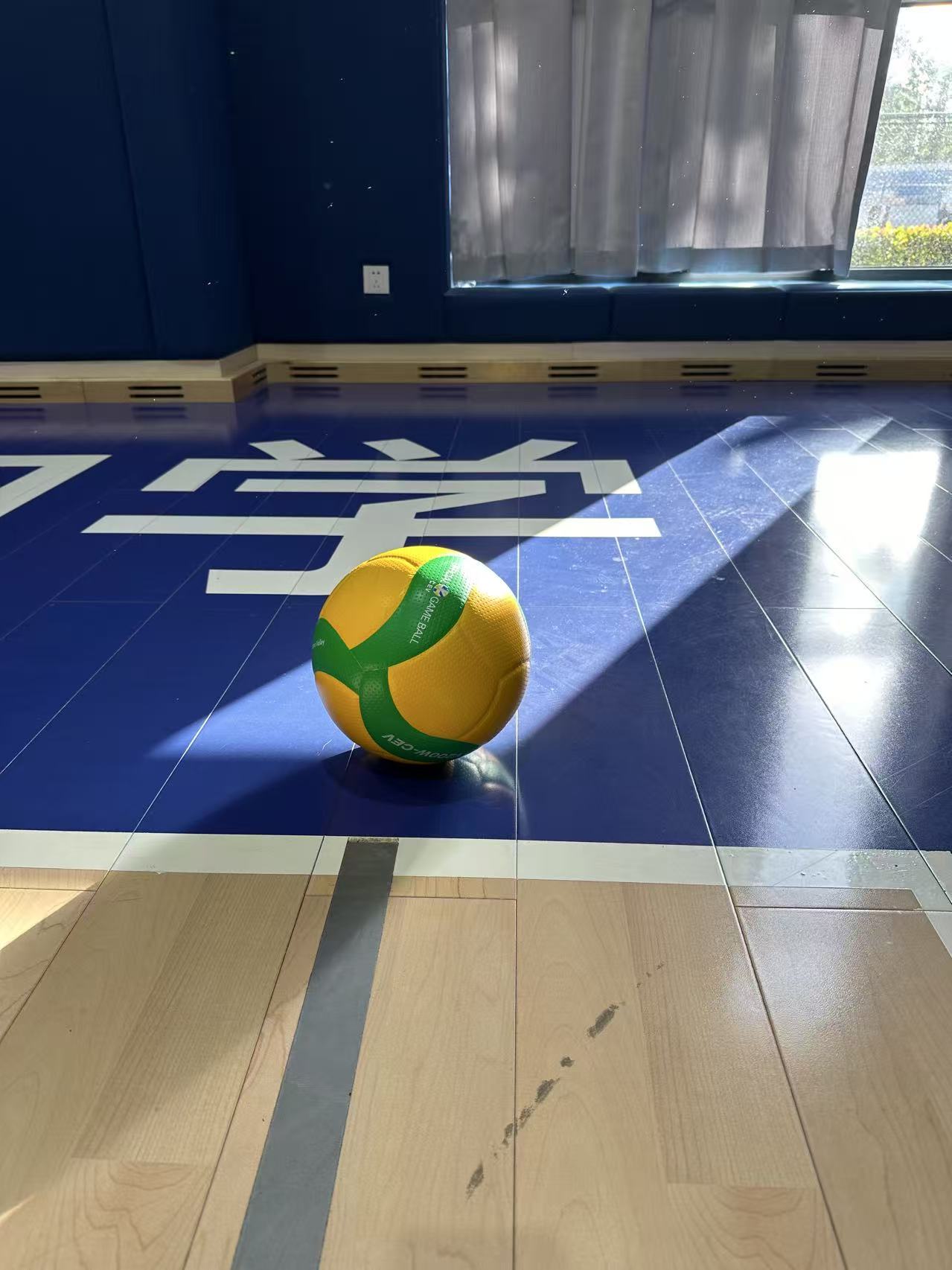 Volleyball 5
